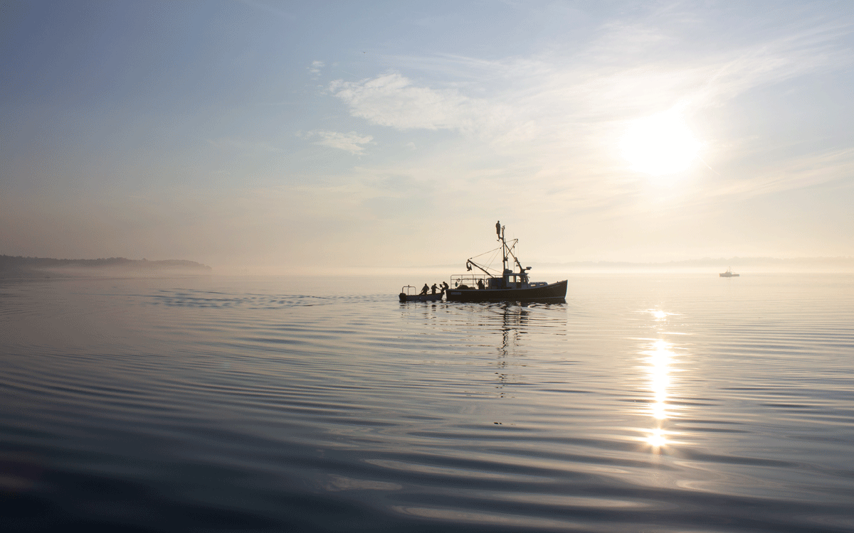 Merriconeag Sound ME